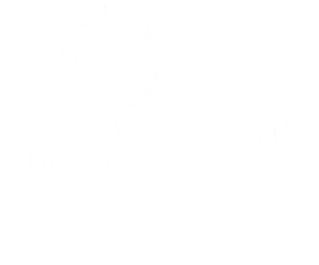 ATS Mapping
